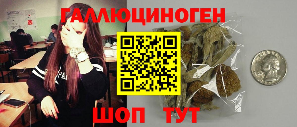 Ялуторовск  Галлюциногенные грибы ЛСД  Вход с VPN 