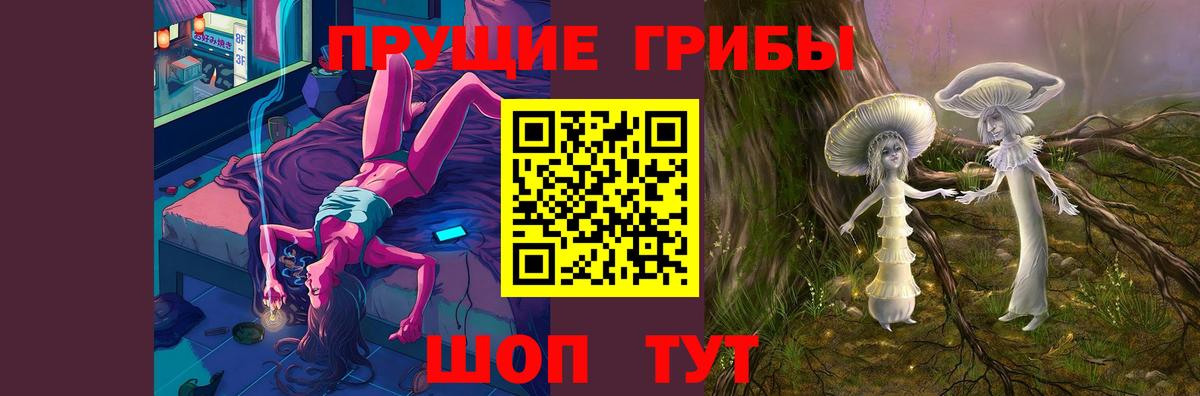 Галлюциногенные грибы Psilocybe Ялуторовск